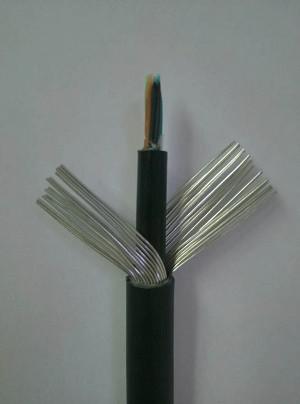 武邑防水防潮通信電纜HYAT與其他通信線纜的綜合對比與應(yīng)用指南
